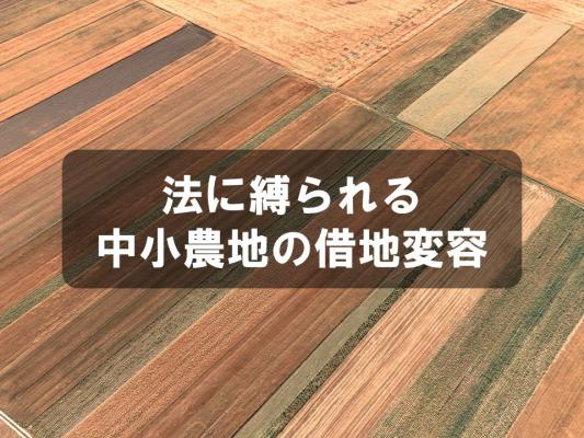 法に縛られる中小農地の借地変容