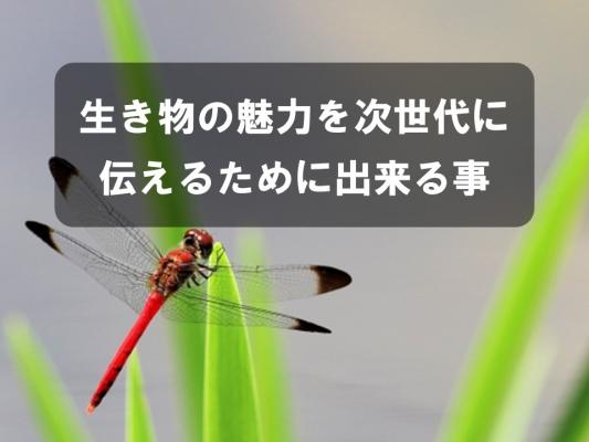 生き物の魅力を次世代に伝えるために出来る事