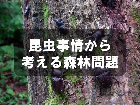 昆虫事情から考える森林問題