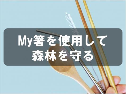 My箸を使用して森林を守る