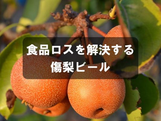 食品ロスを解決する傷梨ビール