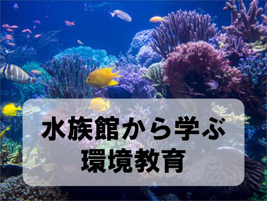 水族館から学ぶ環境教育