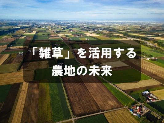 「雑草」を活用する農地の未来