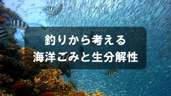 釣りから考える海洋ごみと生分解