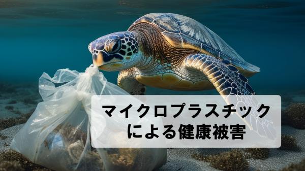 マイクロプラスチックによる健康被害