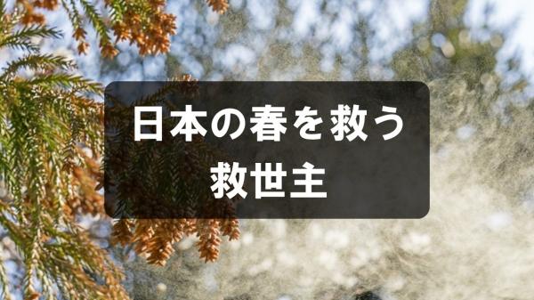 日本の春を救う救世主