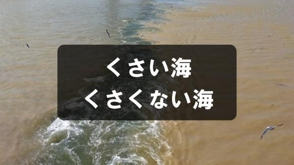 くさい海　くさくない海